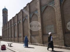 Художник, вдъхновил Анри Матис, дава надежда на творци в управлявания от талибаните Афганистан