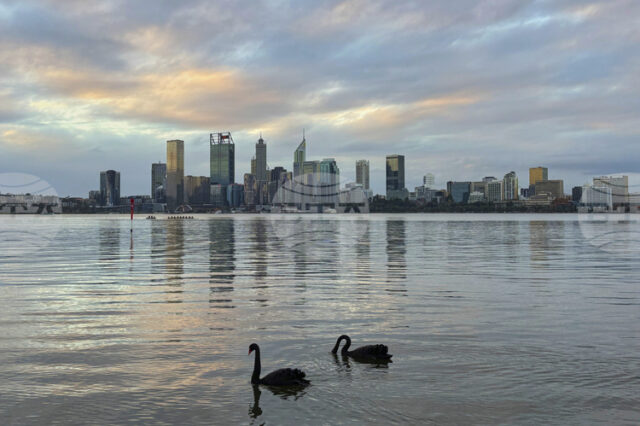Австралийски щат планира да даде на служителите законово право да работят от вкъщи