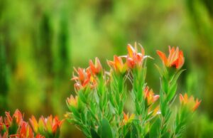 Времето пролет