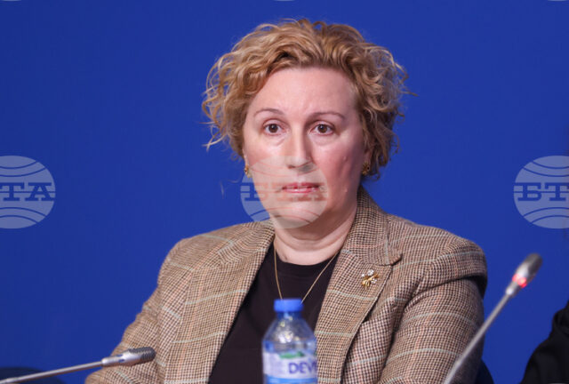 Бизнесът у нас плаща от 2 до 90 пъти по-високи такси за соларни панели и литиево-йонни батерии спрямо други държави в ЕС, каза Меглена Русинова