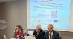 В България домашното насилие е предимно срещу жените, сочи анализ