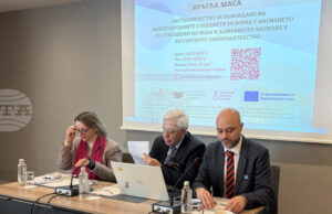 В България домашното насилие е предимно срещу жените, сочи анализ