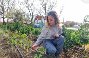 Европейската комисия стартира платформата „Жените в земеделието“ за засилване на равните възможности в сектора