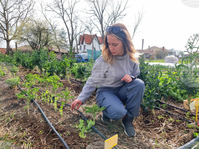 Европейската комисия стартира платформата „Жените в земеделието“ за засилване на Европейската комисия стартира платформата „Жените в земеделието“ за засилване на равните възможности в сектора