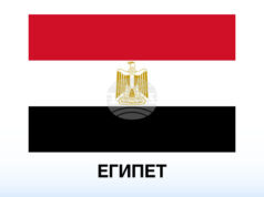 Египетски учени откриха фосил на 18 милиона години, който може да пренапише историята на приматите