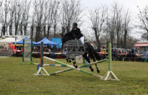 За 19-и път в генералтошевското село Кардам се проведе турнир по конен спорт в памет на доцент Тодор Тодоров