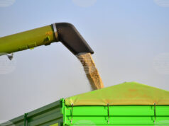 Конфликтът в Близкия изток движи цените на зърнените култури по световните борси нагоре, сочи седмичният отчет на ССБ