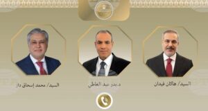 МЕНА: Египетският външен министър обсъди с колегите си от Пакистан и Турция възможностите за постигане на деескалация в региона