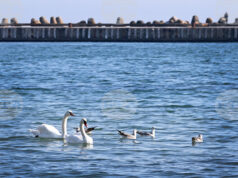 Министерството на туризма очаква добър летен сезон