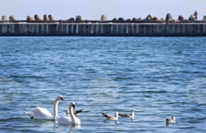 Министерството на туризма очаква добър летен сезон