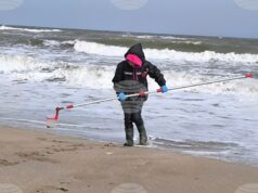 Не е отчетено замърсяване на морето, което да е причина за масова смъртност на защитени видове край Шабла