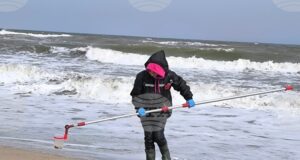 Не е отчетено замърсяване на морето, което да е причина за масова смъртност на защитени видове край Шабла