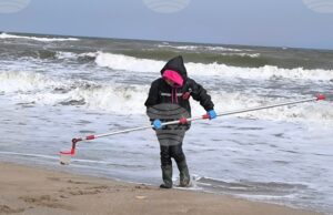 Не е отчетено замърсяване на морето, което да е причина за масова смъртност на защитени видове край Шабла