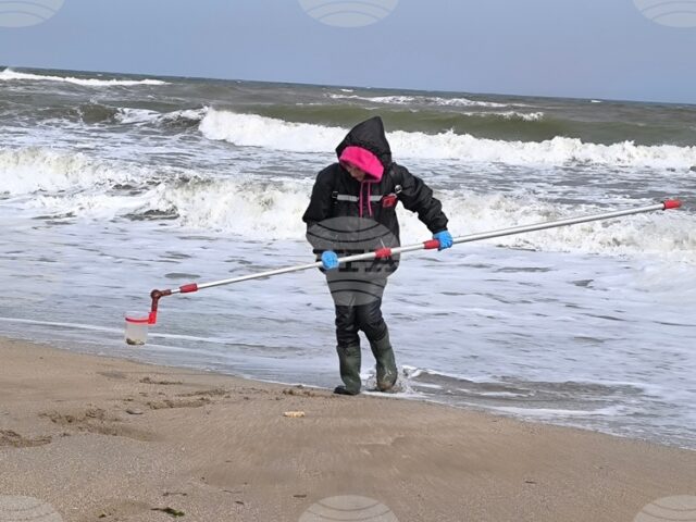 Не е отчетено замърсяване на морето, което да е причина за масова смъртност на защитени видове край Шабла