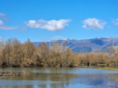 Нивото на язовир „Жребчево“ достигна 80,2% от обема си