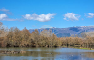 Нивото на язовир „Жребчево“ достигна 80,2% от обема си