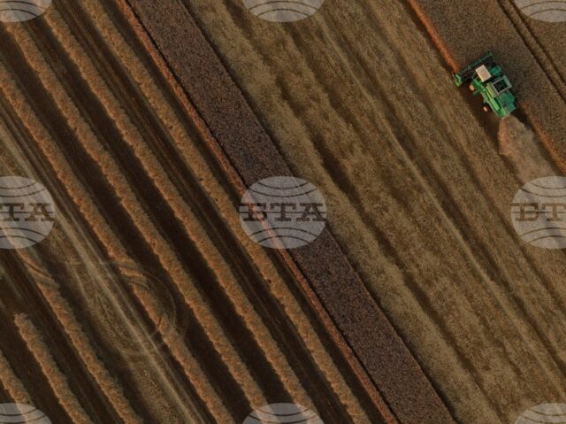 ООН приема новите насоки на ФАО за мащабна кампания за събиране на селскостопански данни