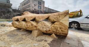 Пет дървени скулптурни инсталации, създадени в рамките на творческа инициатива, ще бъдат поставени край реката в Хасково