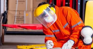 работни места