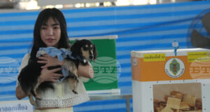 Тайландският Конституционен съд прие иск, оспорващ законността на избирателните бюлетини, съобщават местни медии