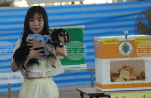 Тайландският Конституционен съд прие иск, оспорващ законността на избирателните бюлетини, съобщават местни медии