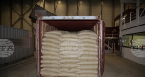 Френските митнически служби иззеха рекордните 13 тона кокаин в пристанището на Дюнкерк