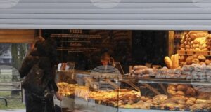 ХИНА: Пазарът на труда се нуждае от нови умения, по-тясна връзка между образованието и бизнеса според проучване на Хърватската търговска камара