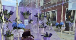 Цветни композиции ще украсят центъра на Враца в близките дни