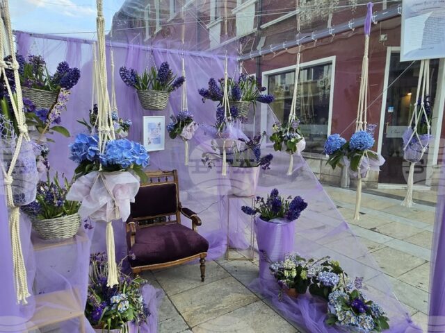 Цветни композиции ще украсят центъра на Враца в близките дни