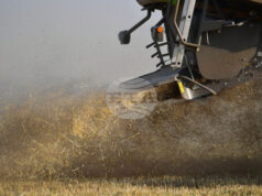 Глобалните стокови пазари отново останаха сравнително спокойни през изминалата седмица, отчитат експертите на Софийската стокова борса