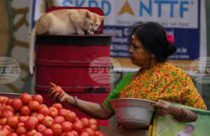 Цените на газа за готвене в Индия се повишиха заради засегнати доставки от войната в Иран