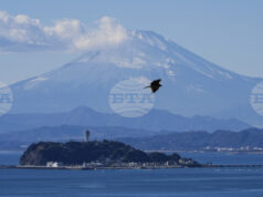 Япония пусна специален влак за разглеждане на планината Фуджи Япония пусна специален влак за разглеждане на планината Фуджи