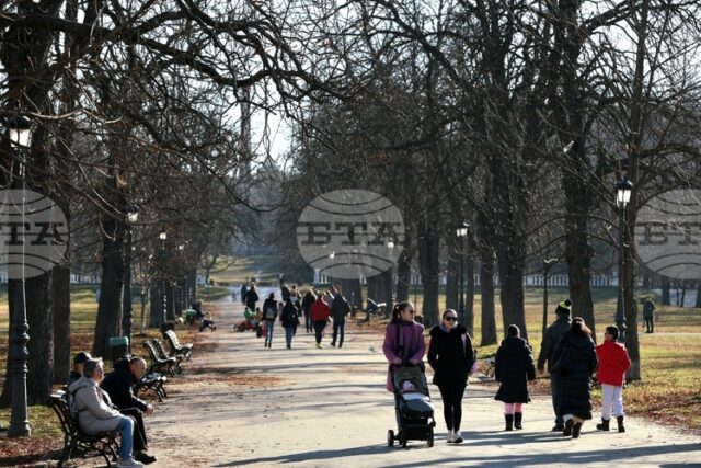 Българският фонд за жените открива програмата „Ценности“ в подкрепа на организации, защитаващи правата на човека и демокрацията