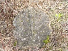 Останки от старо християнско гробище в землището на Опака са фотографирани от екип на Историческия музей в Попово