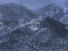 Продължава издирването на възрастната жена в района на Средна гора, съобщиха от Планинската спасителна служба на БЧК