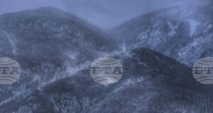 Продължава издирването на възрастната жена в района на Средна гора, съобщиха от Планинската спасителна служба на БЧК