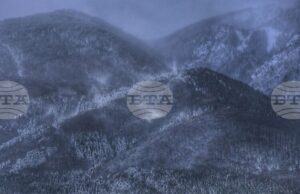 Продължава издирването на възрастната жена в района на Средна гора, съобщиха от Планинската спасителна служба на БЧК