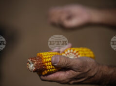 Стратегически резерви от основни стоки на Египет са достатъчни за шест месеца, заяви премиерът Мадбули