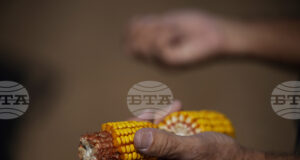 Стратегически резерви от основни стоки на Египет са достатъчни за шест месеца, заяви премиерът Мадбули