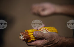 Стратегически резерви от основни стоки на Египет са достатъчни за шест месеца, заяви премиерът Мадбули