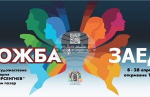 Художниците на Търговище подреждат изложба в Нови пазар