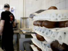 Цените на шоколадовите яйца остават високи въпреки срива на цените на какаото