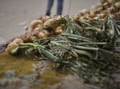 Бъдещето на влаковете, превозващи пресен лук из Япония, е несигурно